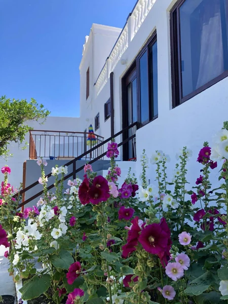 A welcome in bloom